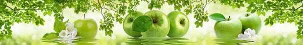 Apple Зеленое яблоко