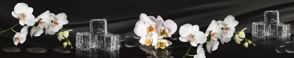 Орхидея и лед